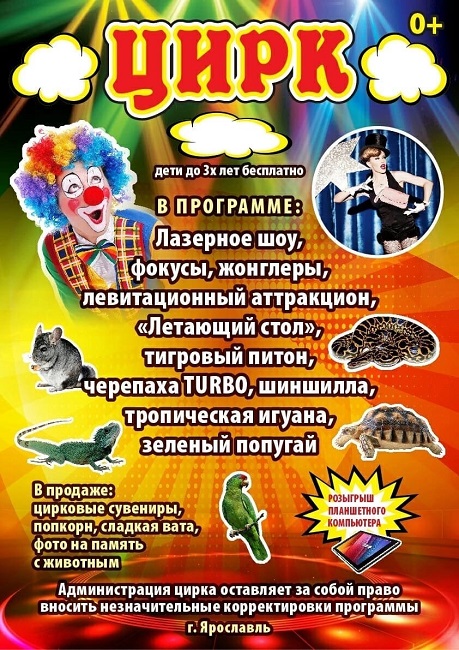 Цирк в д.Волково
