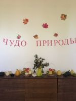 Выставка овощей в Волковском КДК
